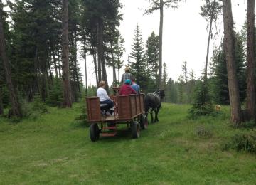 Wagon Ride 6